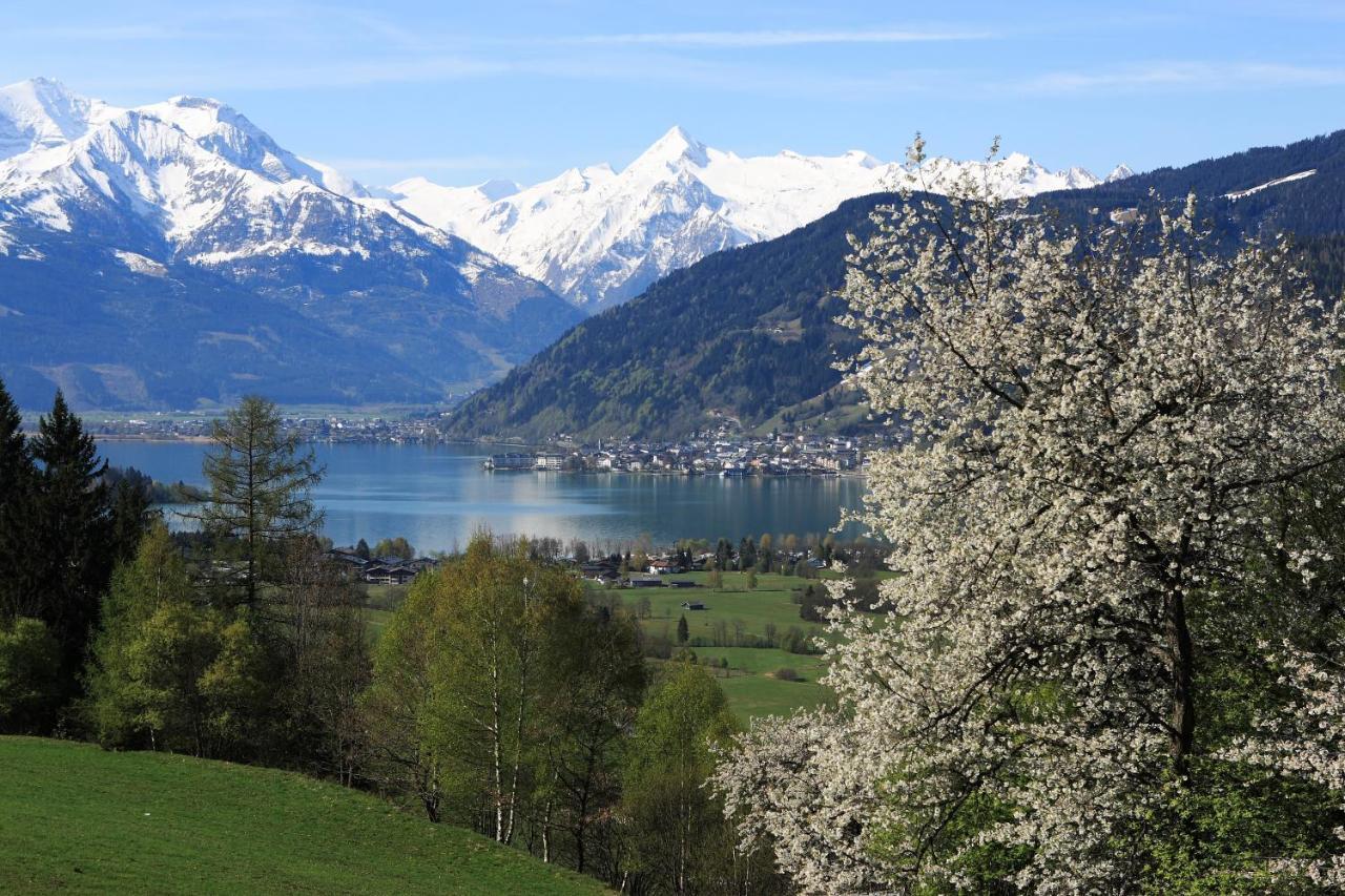 Gasthof Zacherlbraeu Fusch an der Glocknerstraße Exteriör bild